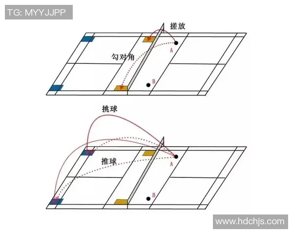 聚焦上海羽毛球队战术创新与对抗策略的深度分析与探讨