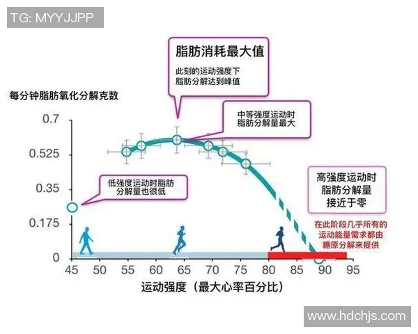 运动数据南京城市马拉松点评飞盘队展现灵活性与团队协作的完美结合